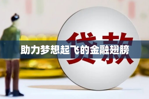 旬阳助力梦想起飞的金融翅膀