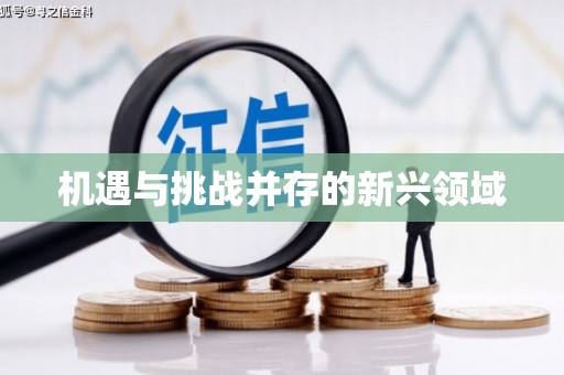 旬阳机遇与挑战并存的新兴领域