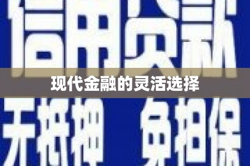 旬阳现代金融的灵活选择
