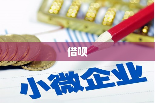 旬阳借呗