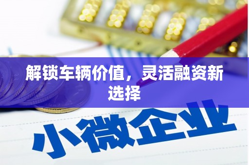 旬阳解锁车辆价值，灵活融资新选择