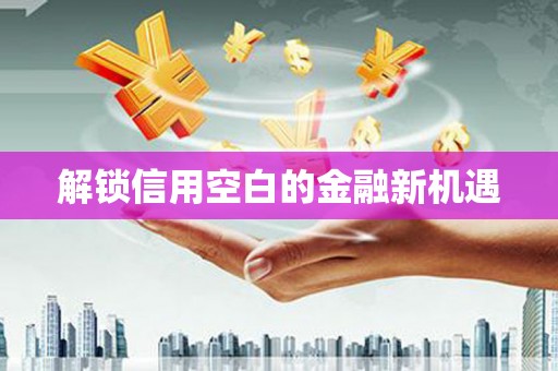 旬阳解锁信用空白的金融新机遇