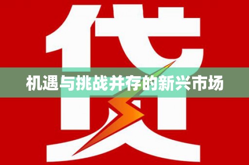 旬阳机遇与挑战并存的新兴市场