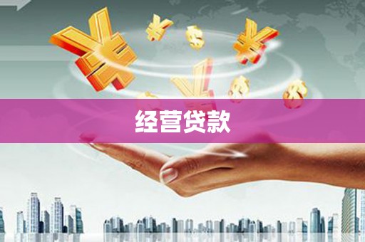 旬阳经营贷款