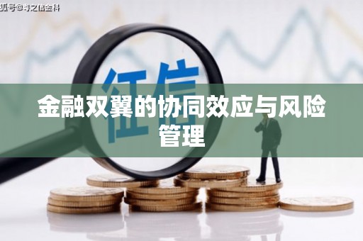 旬阳金融双翼的协同效应与风险管理