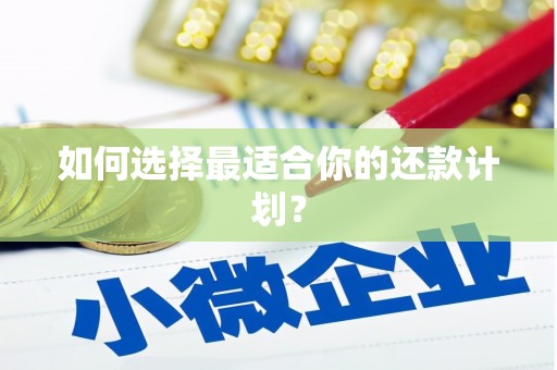 旬阳如何选择最适合你的还款计划？