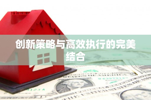旬阳创新策略与高效执行的完美结合