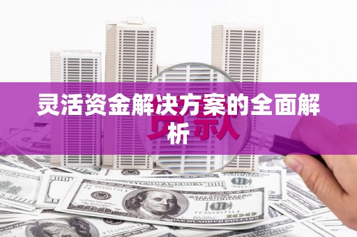 旬阳灵活资金解决方案的全面解析