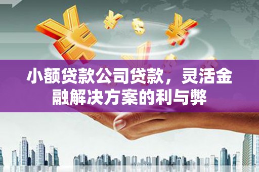 旬阳小额贷款公司贷款，灵活金融解决方案的利与弊