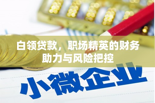 旬阳白领贷款，职场精英的财务助力与风险把控