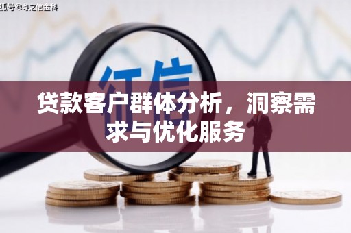旬阳贷款客户群体分析，洞察需求与优化服务